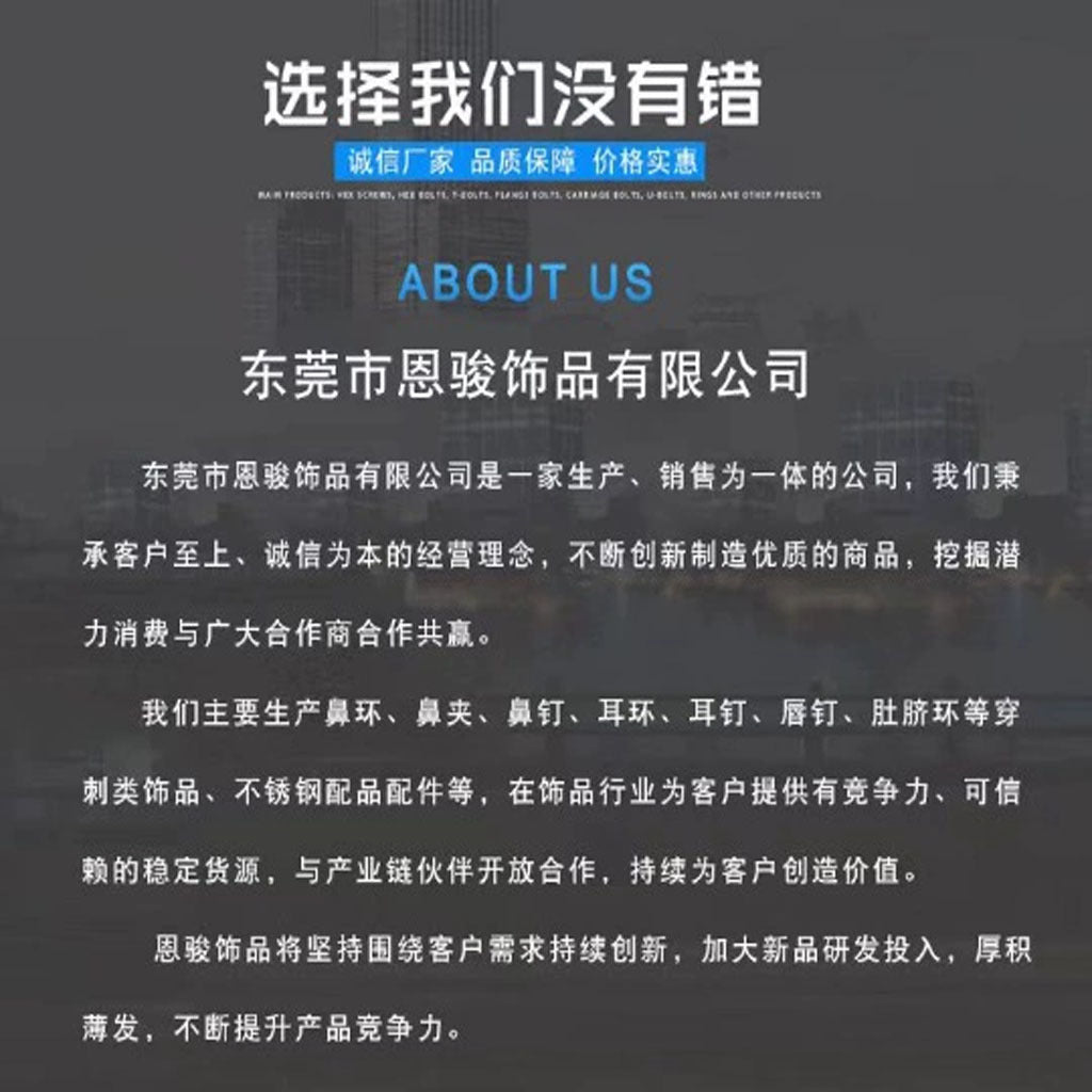 Non-pierced steel zirconia earrings image 1