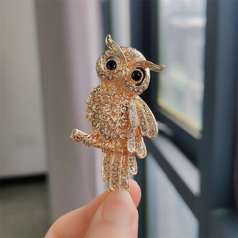 Stylish Owl Brooch Display