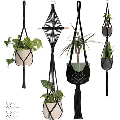 Compact hanging plant display image 9