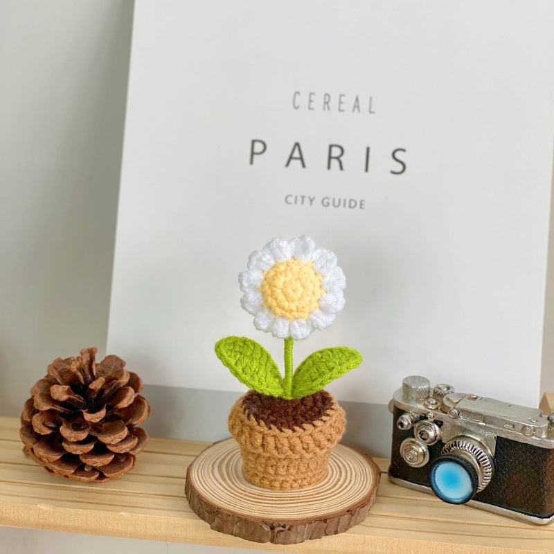 Creative home decor succulent arrangement