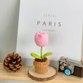 B Style Pink Tulip Potted Plant