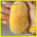 Mango Dog Hair Clip