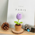 B Style Purple Tulip Potted Plant