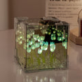 10 Blue Cube Tulips