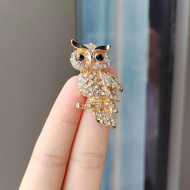 Stylish Owl Brooch Display