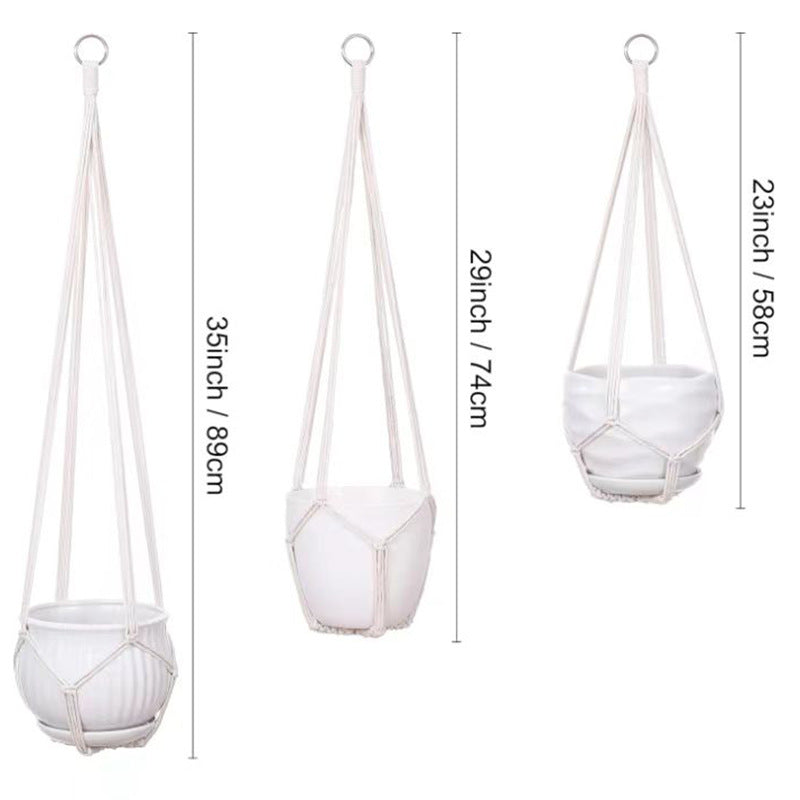 Compact hanging plant display image 9