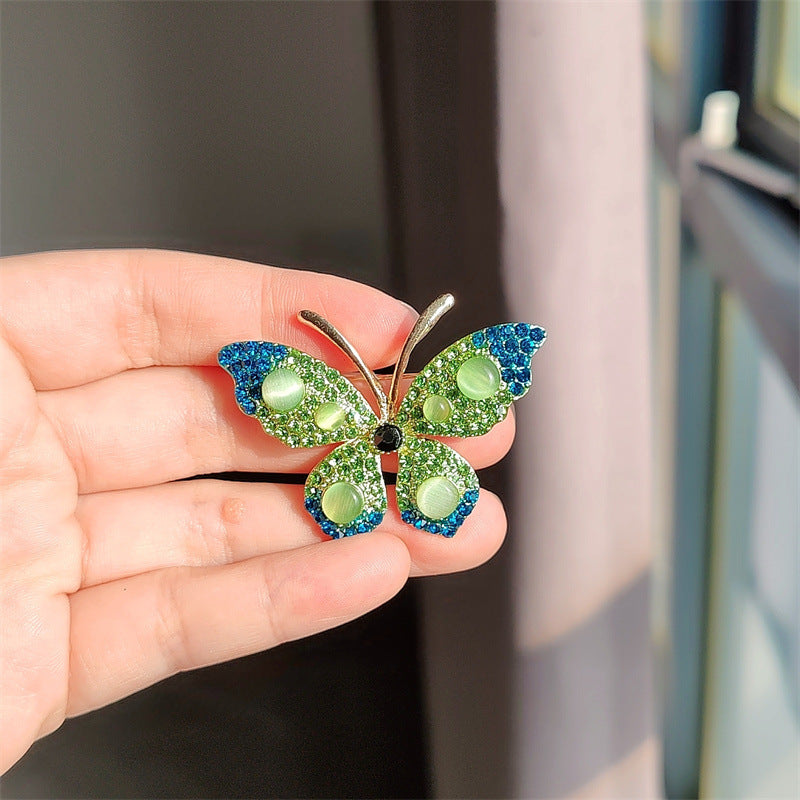 Unique butterfly accessory for gifting