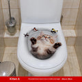 MT253020 Kitten A