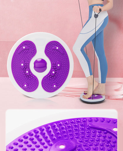 Waist Twisting Disc Image 2