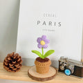 B Style Purple Puff Flower Potted Plant