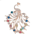 Colorful Peacock 4072931