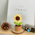 B Style Sharp Sunflower Potted Plant